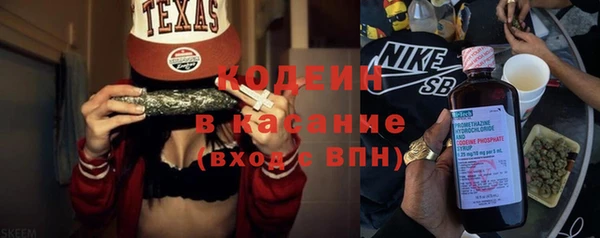 шишки Беломорск