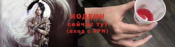 шишки Беломорск