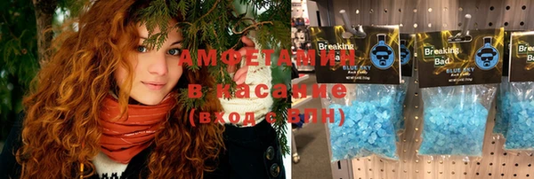гашик Белокуриха