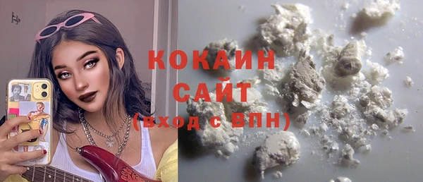 шишки Беломорск