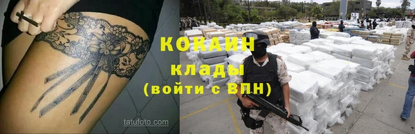 шишки Беломорск