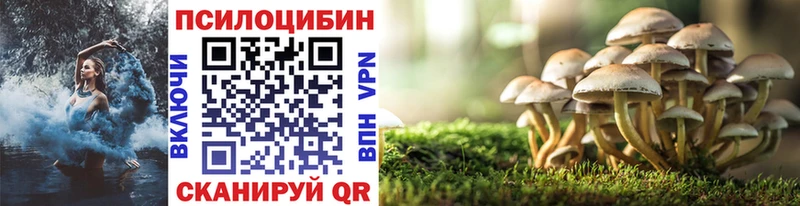 где купить наркотик  Дагестанские Огни  Галлюциногенные грибы GOLDEN TEACHER 